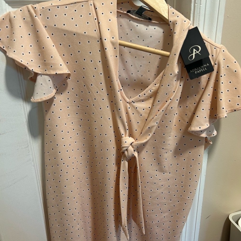 Adrianna Papell Blush Polka Dot Top